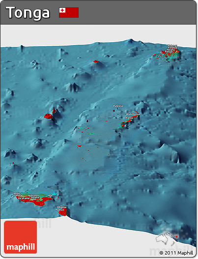 Flag Panoramic Map of Tonga, single color outside, satellite sea, flag centered