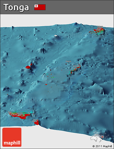 Flag Panoramic Map of Tonga, single color outside, satellite sea, flag aligned to the middle