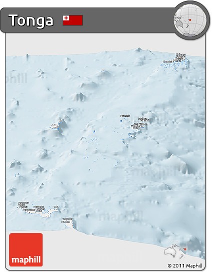 Gray Panoramic Map of Tonga