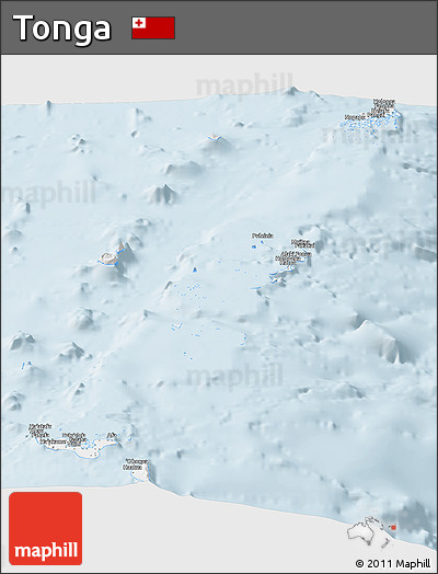 Gray Panoramic Map of Tonga