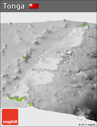 Physical Panoramic Map of Tonga, desaturated