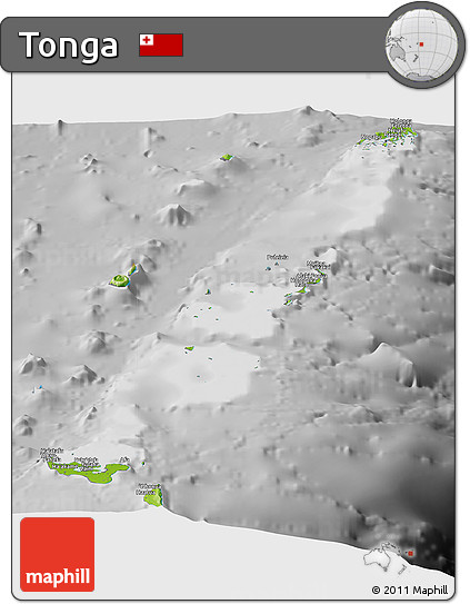Physical Panoramic Map of Tonga, desaturated