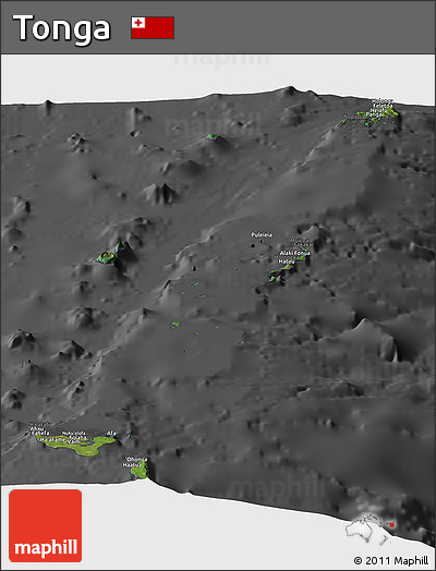 Satellite Panoramic Map of Tonga, darken, desaturated