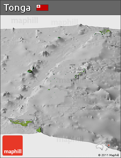 Satellite Panoramic Map of Tonga, lighten, desaturated