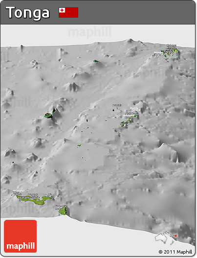 Satellite Panoramic Map of Tonga, lighten, desaturated