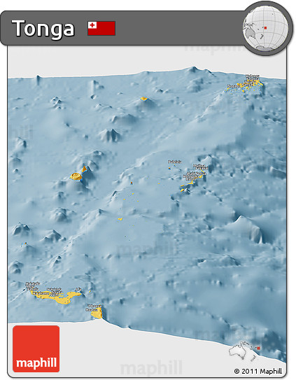 Savanna Style Panoramic Map of Tonga