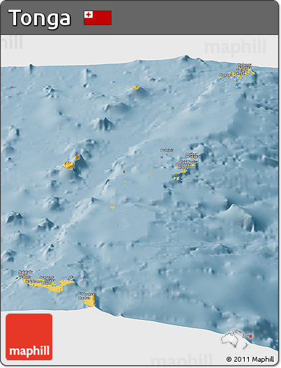 Savanna Style Panoramic Map of Tonga