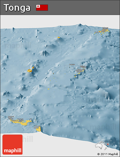 Savanna Style Panoramic Map of Tonga