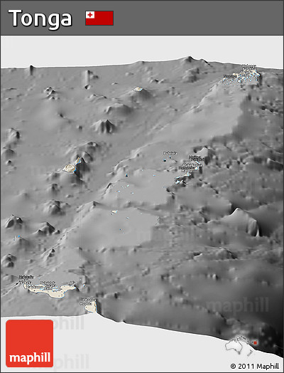 Shaded Relief Panoramic Map of Tonga, darken, desaturated