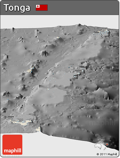 Shaded Relief Panoramic Map of Tonga, darken, desaturated