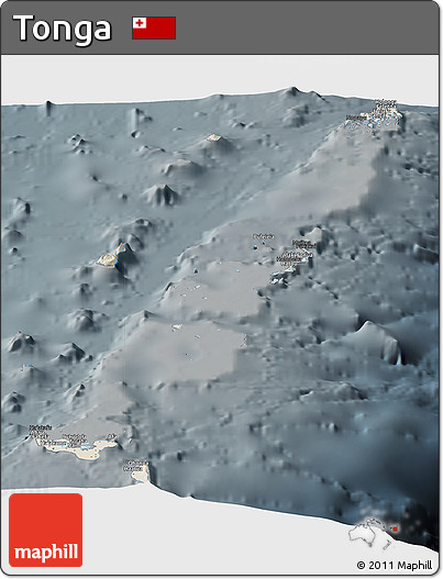 Shaded Relief Panoramic Map of Tonga, darken, semi-desaturated