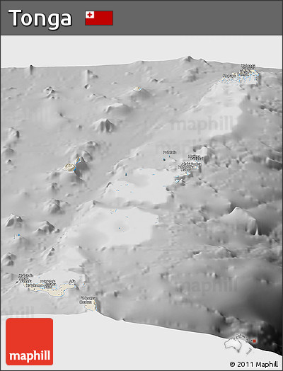 Shaded Relief Panoramic Map of Tonga, desaturated