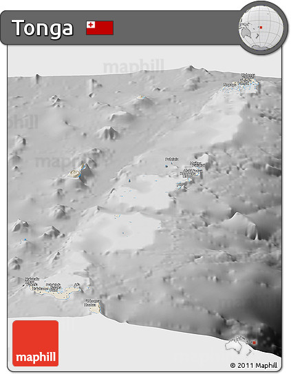Shaded Relief Panoramic Map of Tonga, desaturated