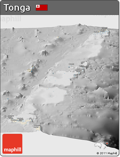 Shaded Relief Panoramic Map of Tonga, desaturated