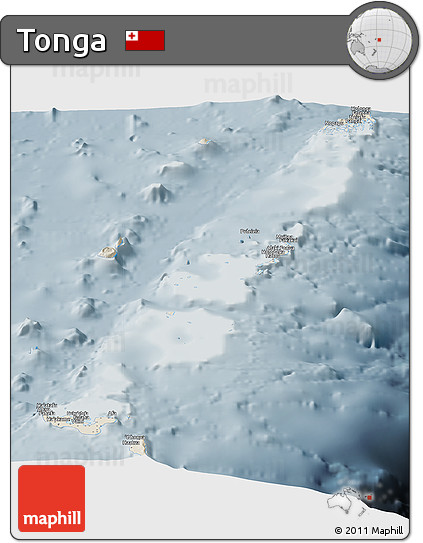 Shaded Relief Panoramic Map of Tonga, semi-desaturated