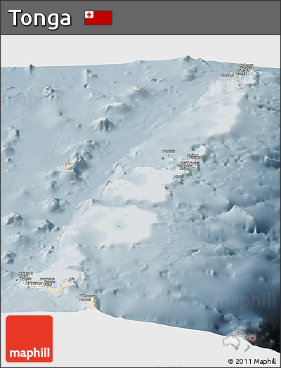 Shaded Relief Panoramic Map of Tonga, semi-desaturated