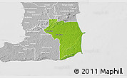 Physical 3D Map of Nariva/Mayaro, lighten, desaturated