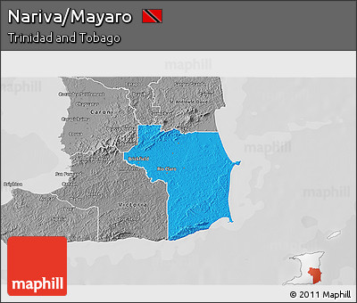 Political 3D Map of Nariva/Mayaro, desaturated