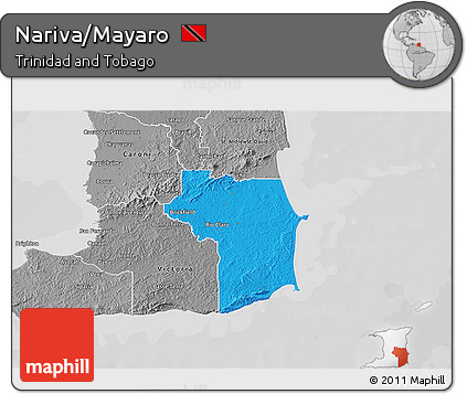 Political 3D Map of Nariva/Mayaro, desaturated