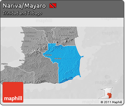 Political 3D Map of Nariva/Mayaro, desaturated
