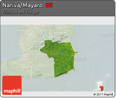 Satellite 3D Map of Nariva/Mayaro, lighten