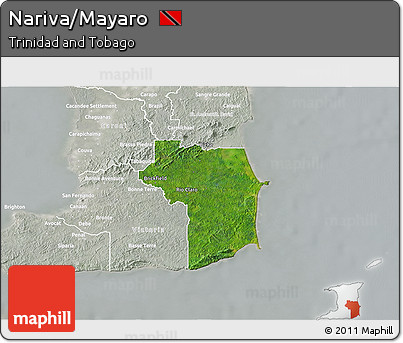 Satellite 3D Map of Nariva/Mayaro, lighten, semi-desaturated