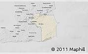 Shaded Relief 3D Map of Nariva/Mayaro, desaturated