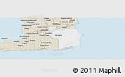 Classic Style Panoramic Map of Nariva/Mayaro
