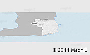 Gray Panoramic Map of Nariva/Mayaro, single color outside