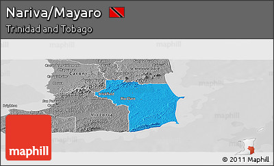 Political Panoramic Map of Nariva/Mayaro, desaturated