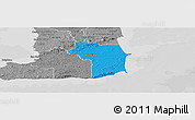 Political Panoramic Map of Nariva/Mayaro, desaturated