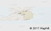 Shaded Relief Panoramic Map of Nariva/Mayaro, lighten