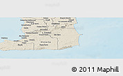Shaded Relief Panoramic Map of Nariva/Mayaro