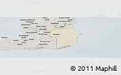 Shaded Relief Panoramic Map of Nariva/Mayaro, semi-desaturated