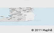 Silver Style Panoramic Map of Nariva/Mayaro
