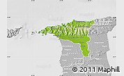 Physical Map of Saint George, lighten, desaturated