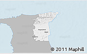 Gray 3D Map of St. Andrew/St. David, single color outside