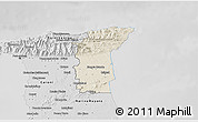 Shaded Relief 3D Map of St. Andrew/St. David, desaturated