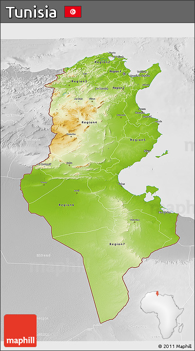 Physical 3D Map of Tunisia, lighten, desaturated