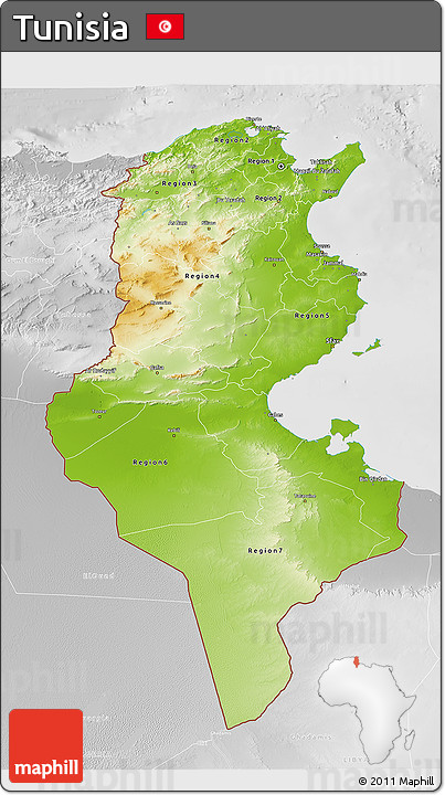 Physical 3D Map of Tunisia, lighten, desaturated