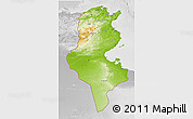 Physical 3D Map of Tunisia, lighten, desaturated