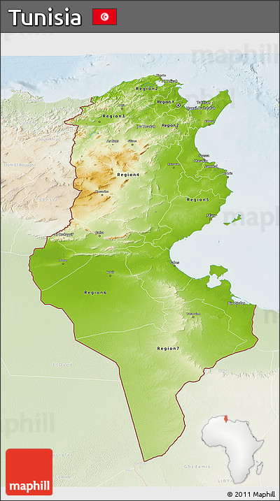 Physical 3D Map of Tunisia, lighten