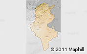 Satellite 3D Map of Tunisia, lighten, desaturated