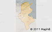 Satellite 3D Map of Tunisia, lighten, semi-desaturated
