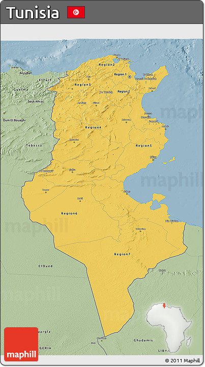 Savanna Style 3D Map of Tunisia