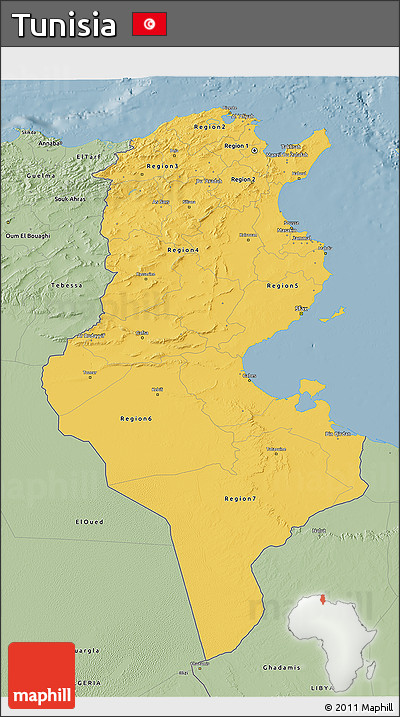 Savanna Style 3D Map of Tunisia