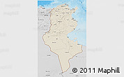 Shaded Relief 3D Map of Tunisia, desaturated, land only