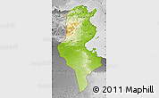 Physical Map of Tunisia, desaturated