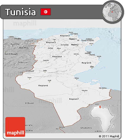 Gray Panoramic Map of Tunisia