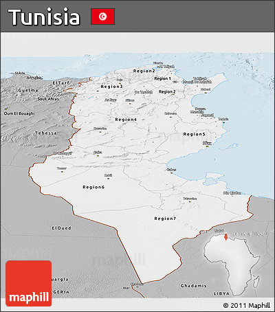 Gray Panoramic Map of Tunisia